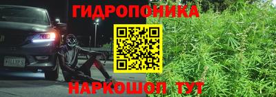 мяу мяу мука Моздок
