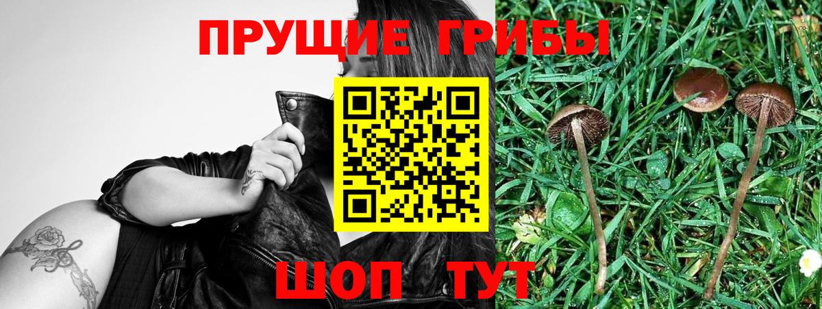 Галлюциногенные грибы ЛСД Знаменск